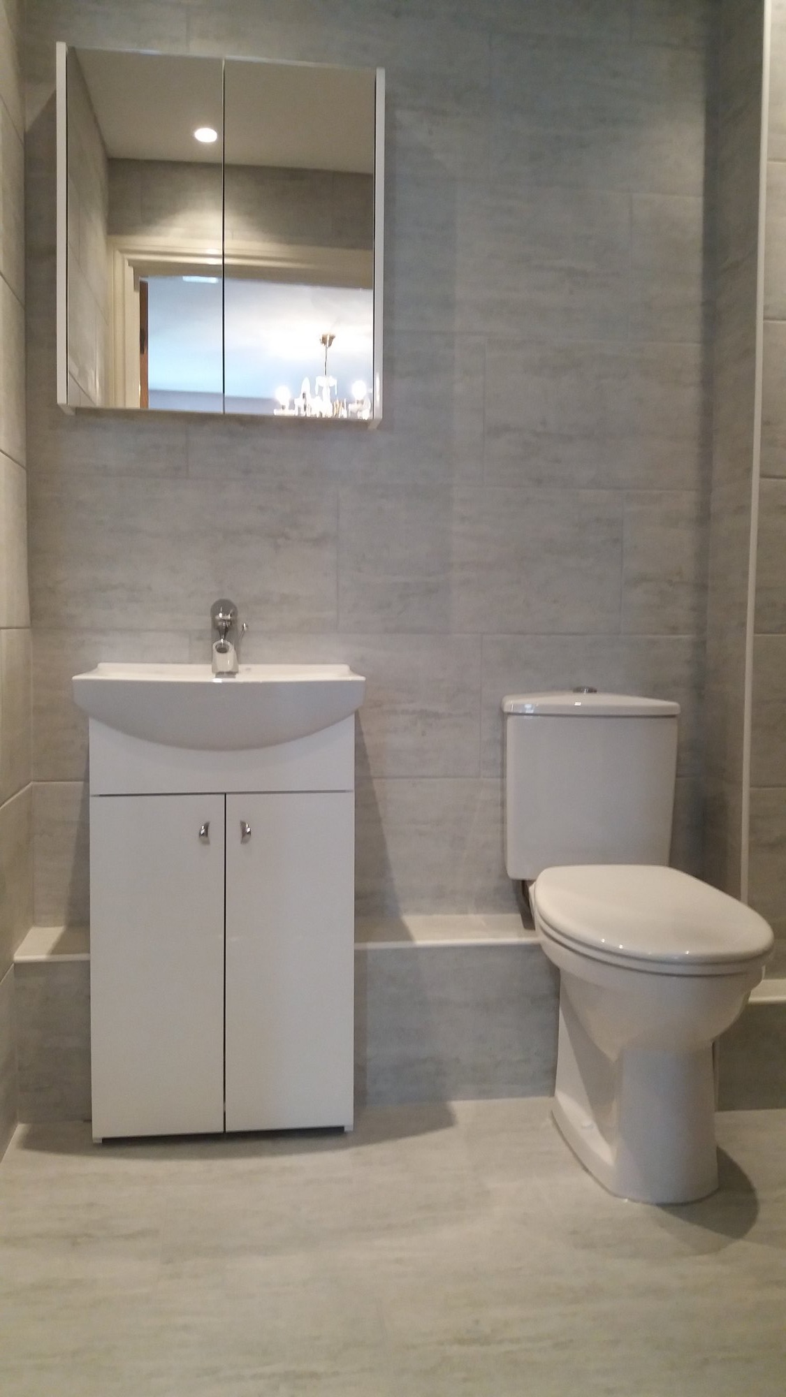 Bathroom vanity unit and WC